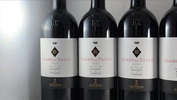 2023 Tenuta Guado al Tasso - Bolgheri Superiore - 6, Nieuw