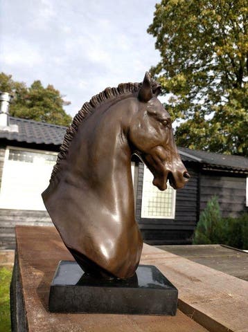 Beeld, horsehead - 34 cm - brons marmer