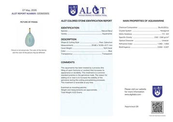 Geen reserve - ALGT-gecertificeerd - Grote en zeer
