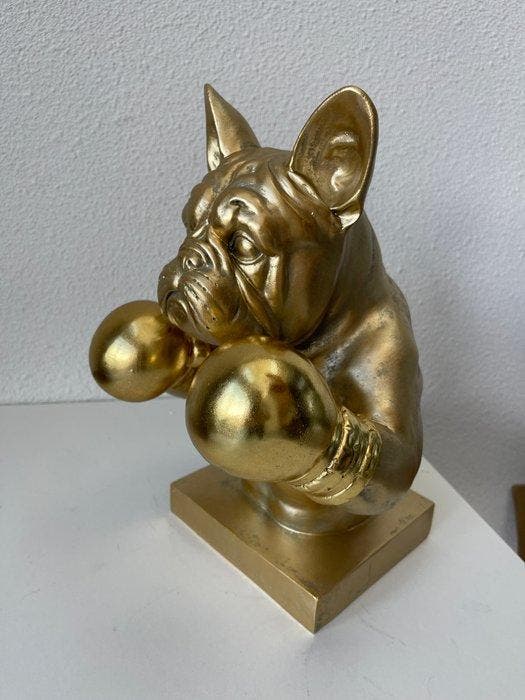 Beeld, Golden Buldog Boxer - 36 cm - Goudkleurige hars, Antiquités & Art, Curiosités & Brocante