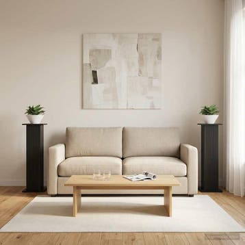 vidaXL Plantenstand 2 st Zwart 30,5 x 30 x 100,5 cm Bewerkt, Verzenden