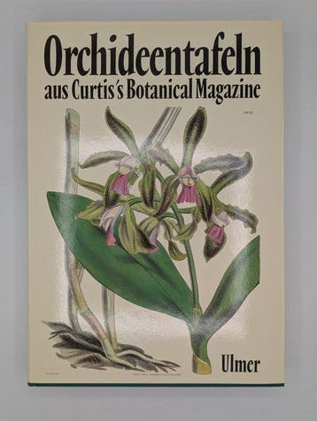 AA.VV. - Lot with 7 books in Orchids and Roses - 1954-1986
