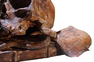 sculptuur, Vanitas in terracotta - 20 cm - Aardewerk