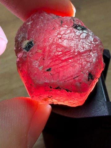 Robijn Echte parel! Prachtige 115,5 ct. Mozambique bloedrode, Verzamelen