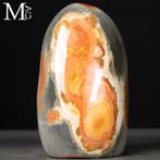 Nice - Decoratieve polychroom jaspis - Diaspro polychromo, Nieuw