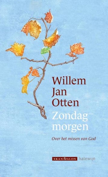 Verrijzen voor beginners 9789493220157 Willem Jan Otten, Verzenden, Willem Jan Otten