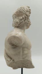 sculptuur, Busto di Asclepio - 41 cm - marmerstof