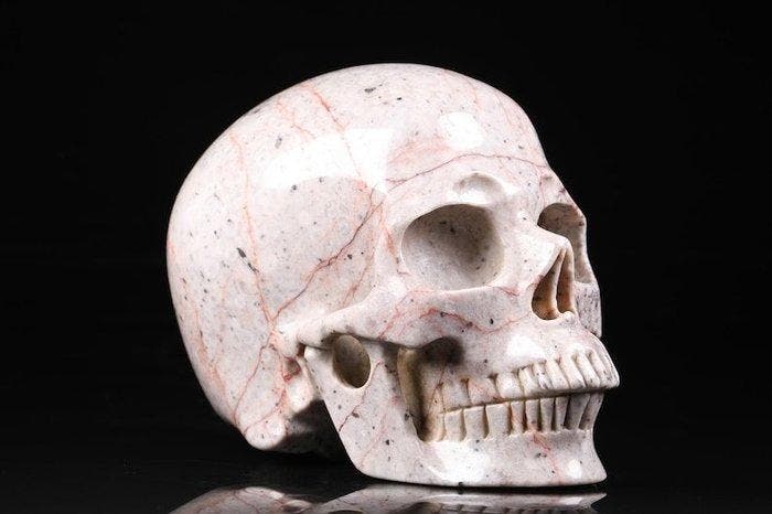 Red Network Jasper Hoge Kwaliteit Gesneden schedel -, Antiek en Kunst, Curiosa en Brocante