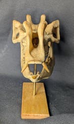 Fossiele schedel - Protoceras celer - Museum-Grade Replica -