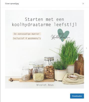 Letten op Koolhydraten - Starten met een koolhydraatarme, Boeken, Kookboeken, Verzenden, Zo goed als nieuw, Nicolet Reus