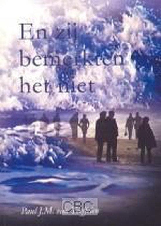 En zij bemerkten het niet 9789080808980 P.J.M. Teeffelen, Boeken, Godsdienst en Theologie, Gelezen, Verzenden