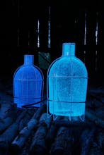 Transnatural - Gionata Gatto & Mike Thompson - Lamp - Trap