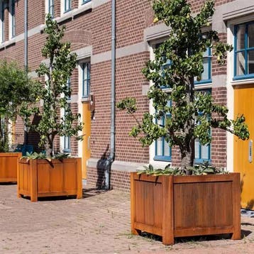 Cortenstaal plantenbak York 80x80x80cm - Met bodem, Vierkant, Nieuw, Metaal, 60 tot 100 cm