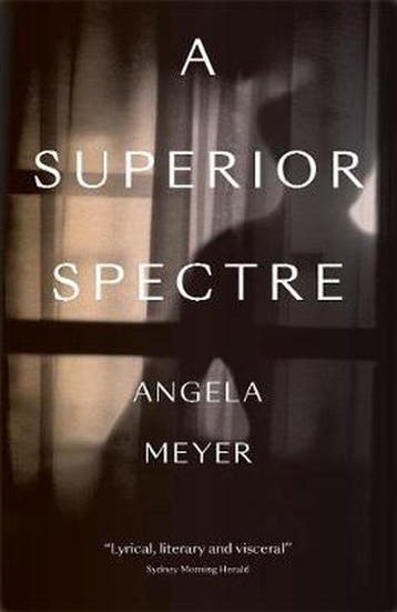 A Superior Spectre 9781912235483 Angela Meyer, Verzenden, Zo goed als nieuw, Angela Meyer