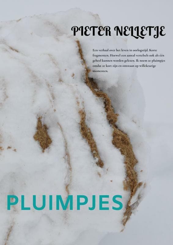 PLUIMPJES 9789403725321 Pieter Nelletje, Livres, Loisirs & Temps libre, Envoi