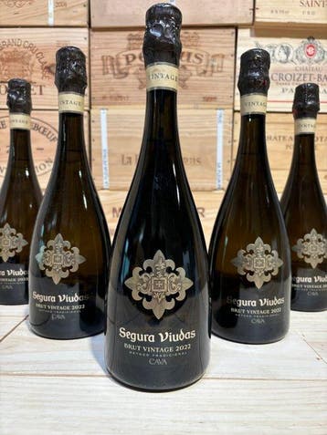 2022 Segura Viudas - Cava Vintage, Brut - 6 Bouteilles (0,75, Nieuw