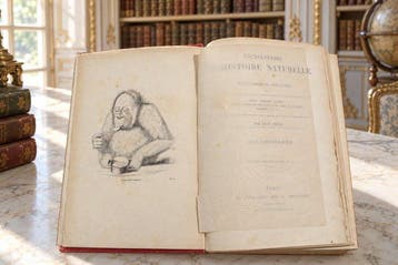 Chenu - Histoire Naturelle - 1850