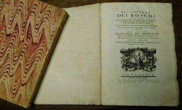 Duhamel Du Monceau - Del governo dei boschi - 1772