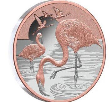Niue. 1 Dollar 2025 – Flamingos – 1 oz Silver .999 – Proof –
