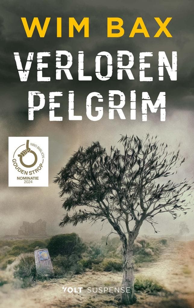 Verloren pelgrim 9789062224166 Wim Bax, Boeken, Romans, Zo goed als nieuw, Verzenden