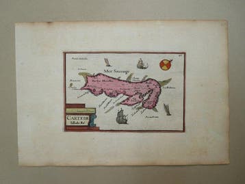 Europa - Frankrijk / Nieuw-Aquitaine / Île de Ré; David