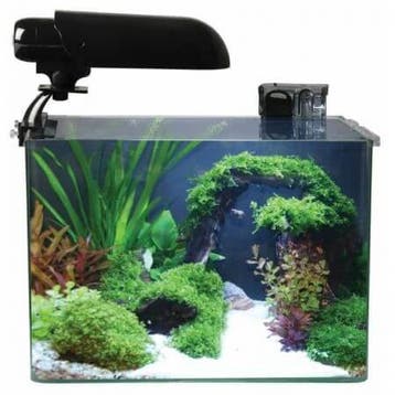 Aquatic Nature Aquarium COCOON 4 (15,5 L) 31x19x26H, Verzenden, Nieuw