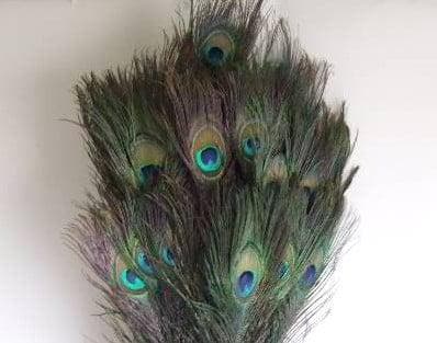 Pauw Veren Peacock Feather Natural Lang 90 cm per stuk, Hobby & Loisirs créatifs, Bricolage