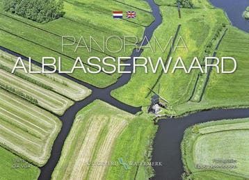 Panorama Alblasserwaard / Panorama boeken 9789078388111, Verzenden, Gelezen, Dik Vuik