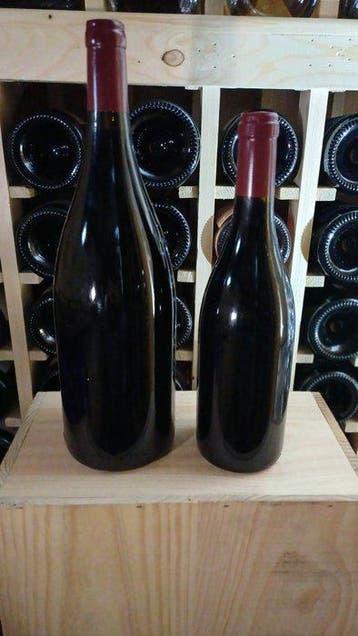 2015 Domaine Coquard-Loison-Fleurot - Charmes-Chambertin
