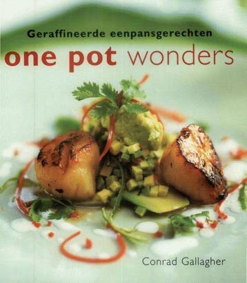 ONE POT WONDERS 9789055017911 C. Gallagher, Boeken, Verzenden, Gelezen, C. Gallagher