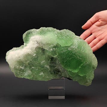 Grote 2,8 kg - groene suikerfluoriet op kwarts, Esthetiek, Verzamelen
