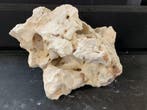 White Moonstone Selected MS7    11KG / 32x24x23cm, Animaux & Accessoires, Poissons | Aquariums & Accessoires, Ophalen of Verzenden