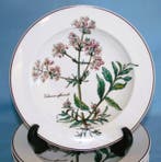 Villeroy & Boch - Rimmed Soup - Assiette (6) - Botanica -