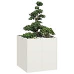 vidaXL Plantenbak 80x80x80 cm staal wit, Tuin en Terras, Bloempotten, Verzenden, Nieuw