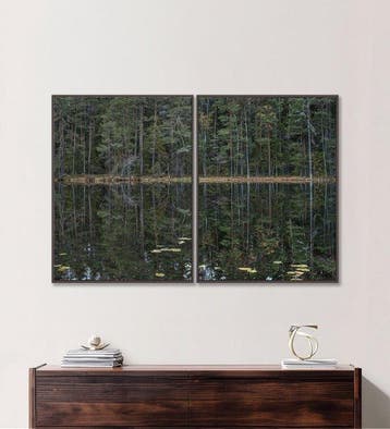 Bernhard Lang - Deep_Mirroring_Forest_011, Diptych, XL