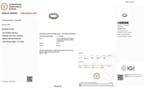 Zonder minimumprijs - Ring - 14 karaat Witgoud - 3.19ct. tw.