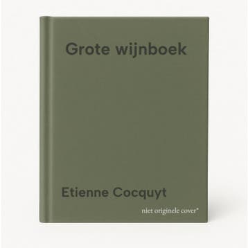 Grote wijnboek 9789054370147 Etienne Cocquyt, Boeken, Verzenden, Gelezen, Etienne Cocquyt