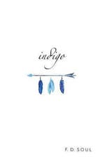 Indigo 9781540756190 F D Soul, Verzenden, Gelezen, F D Soul