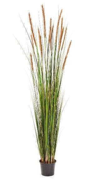 Kunstplant Vossenstaart Gras Bruin 180 cm, Verzenden