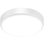 LED Plafondlamp met Sensor + Dag en Nacht Sensor - Brinton G, Verzenden, Nieuw