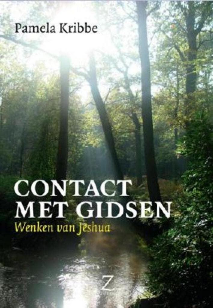CONTACT MET GIDSEN 9789077478295 Pamela Kribbe, Boeken, Esoterie en Spiritualiteit, Zo goed als nieuw, Verzenden