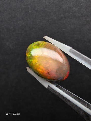8.27ct Zwarte Opaal Cabochon - Hoogte: 17.2 mm - Breedte: