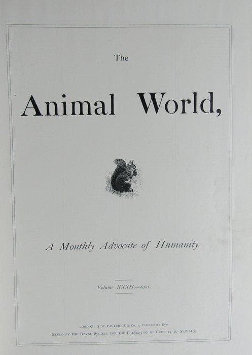 John Colam [editor] - The Animal World, A Monthly Advocate, Antiquités & Art, Antiquités | Livres & Manuscrits
