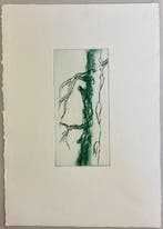 Robert Zandvliet - WILLOW, PINE AND OAK, Antiquités & Art
