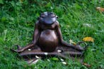 sculptuur, Meditating Frog - 34 cm in length - 20 cm - Brons