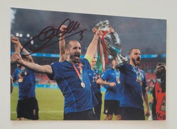 italia - juventus - Coupe d’Europe de Football - Giorgio, Nieuw