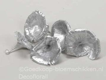 Golden Mushroom Zilver Paddenstoel 250 gram, Nieuw