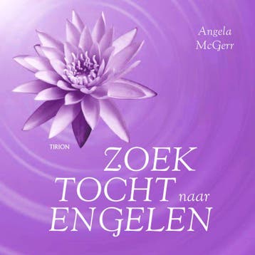 Zoektocht naar engelen 9789043911016 Angela MacGerr, Verzenden, Zo goed als nieuw, Angela MacGerr