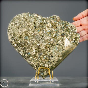 Pyrite dorée de grande taille, première qualité, rare Cœur-, Collections