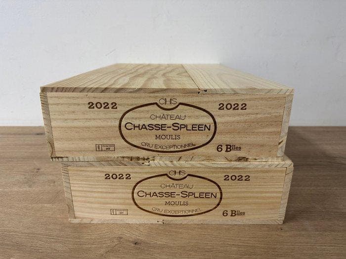 2022 Chateau Chasse-Spleen - Bordeaux - 12 Fles (0,75 liter), Verzamelen, Wijnen